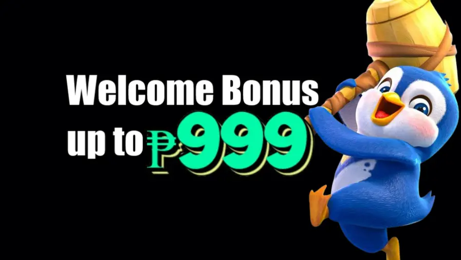 55DD 55DD