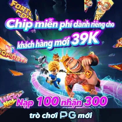 55DD 55DD