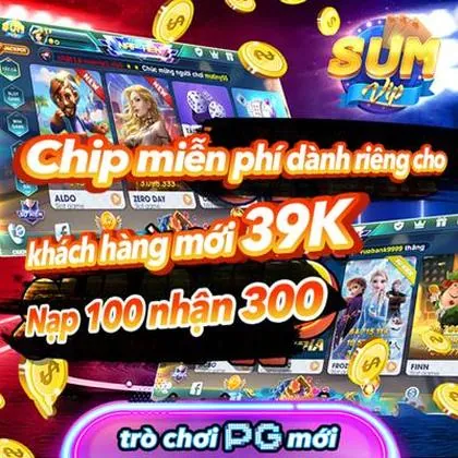55DD 55DD
